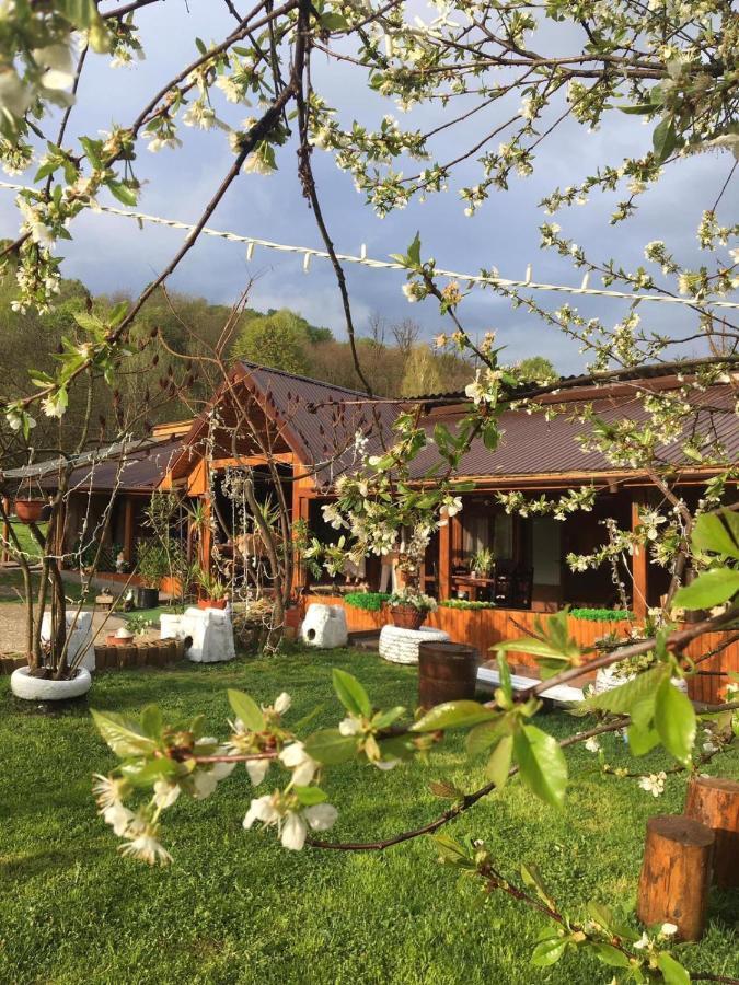 Hotel Langa Stana Curtea de Argeş Exteriér fotografie